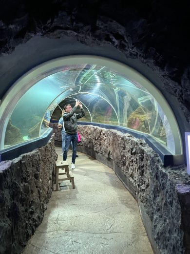 Tunnel Im Sylt Aquarium